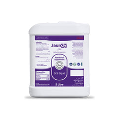 Jaundy