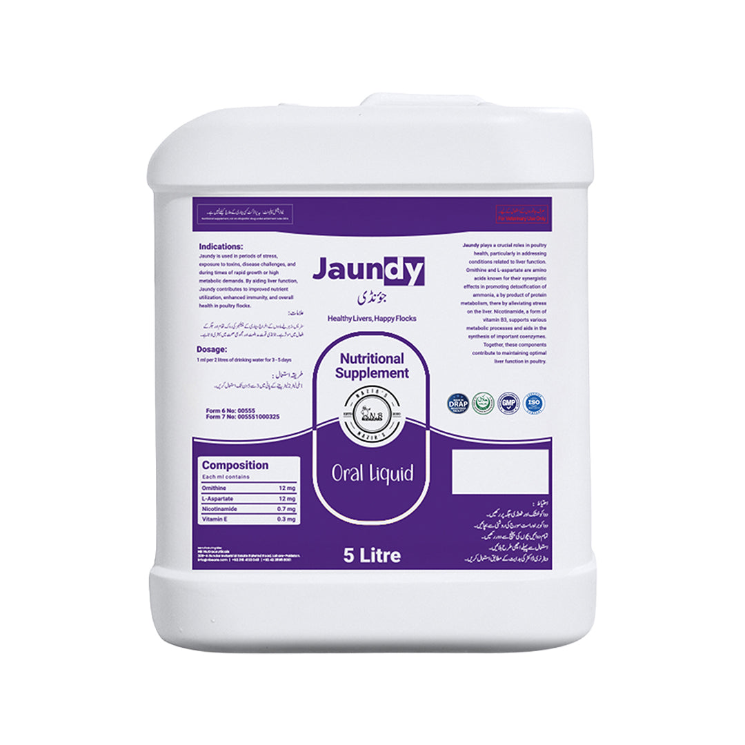 Jaundy