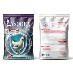 Lysodea